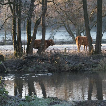 Le Gite De L Ourthe Ortheuville Exteriör bild