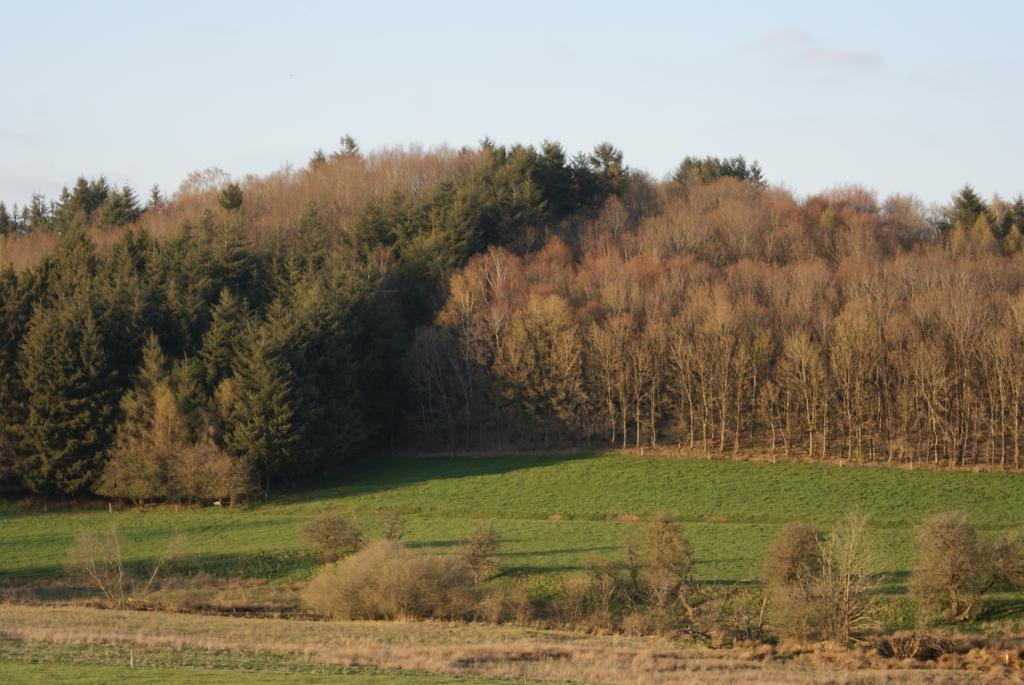 Le Gite De L Ourthe Ortheuville Exteriör bild
