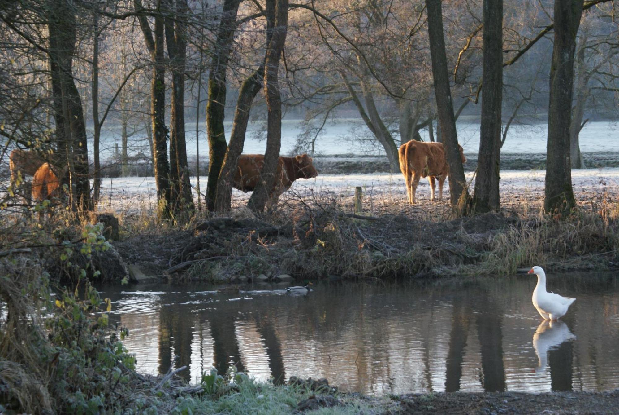 Le Gite De L Ourthe Ortheuville Exteriör bild