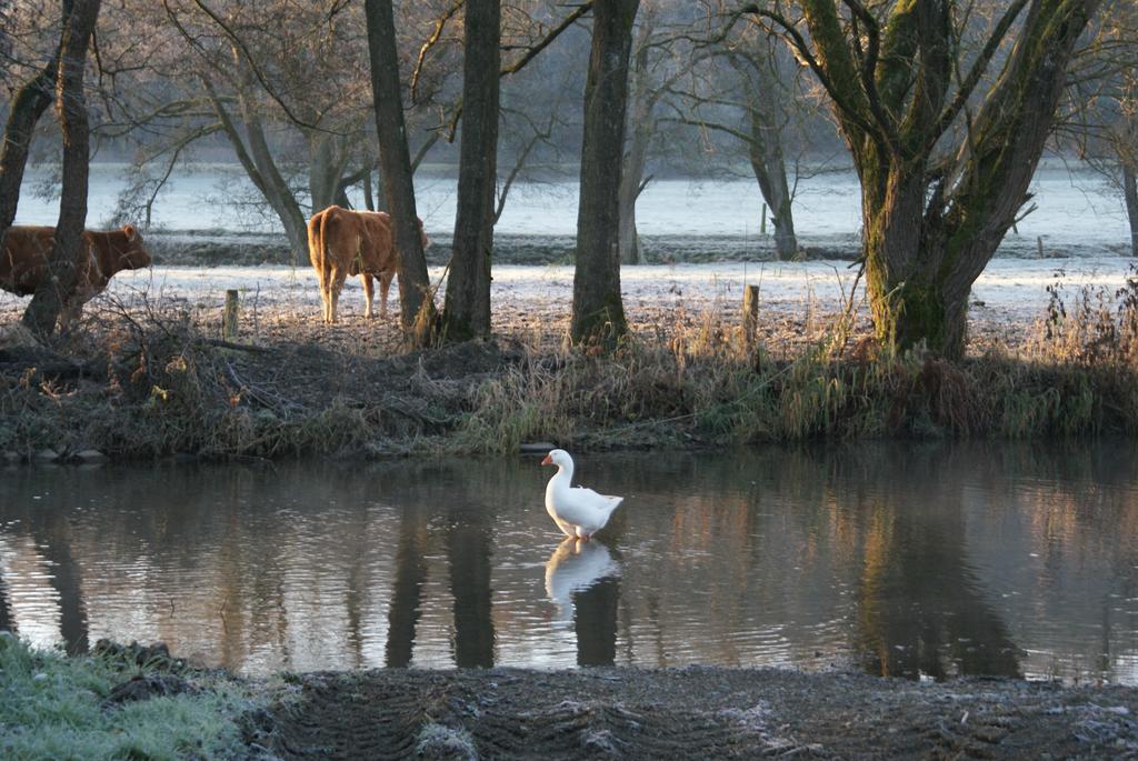 Le Gite De L Ourthe Ortheuville Exteriör bild