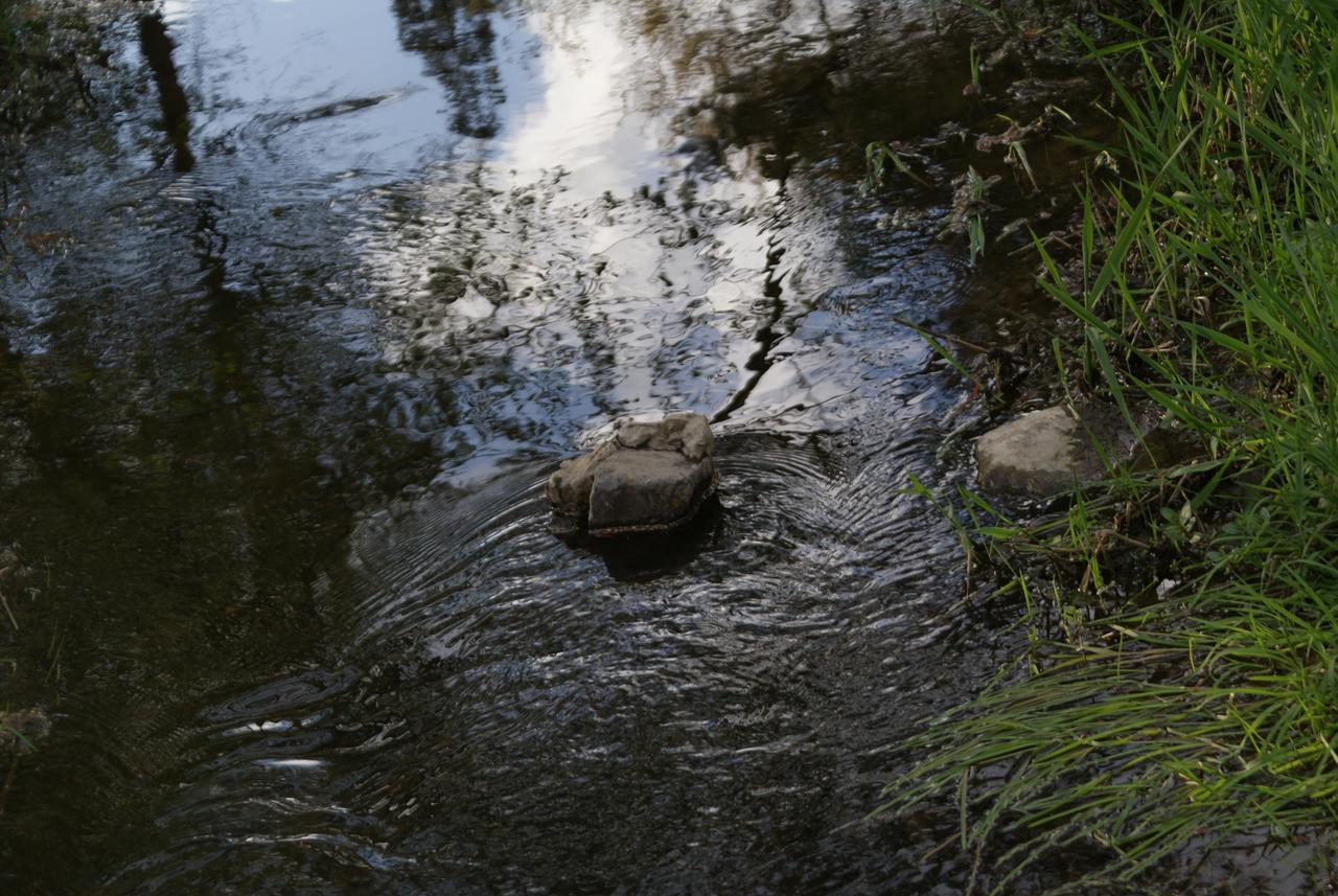 Le Gite De L Ourthe Ortheuville Exteriör bild