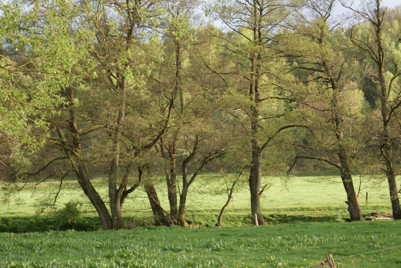 Le Gite De L Ourthe Ortheuville Exteriör bild