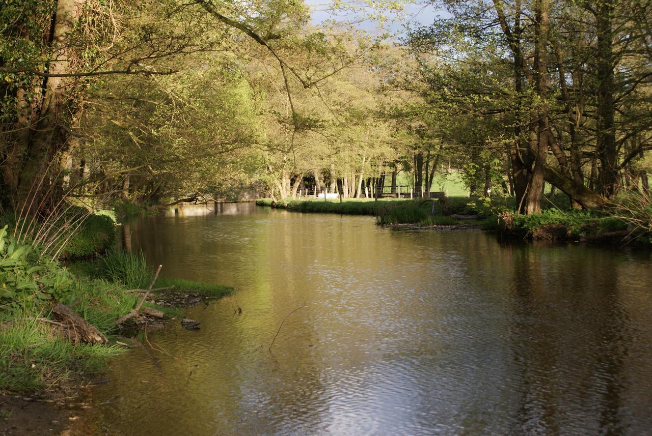 Le Gite De L Ourthe Ortheuville Exteriör bild