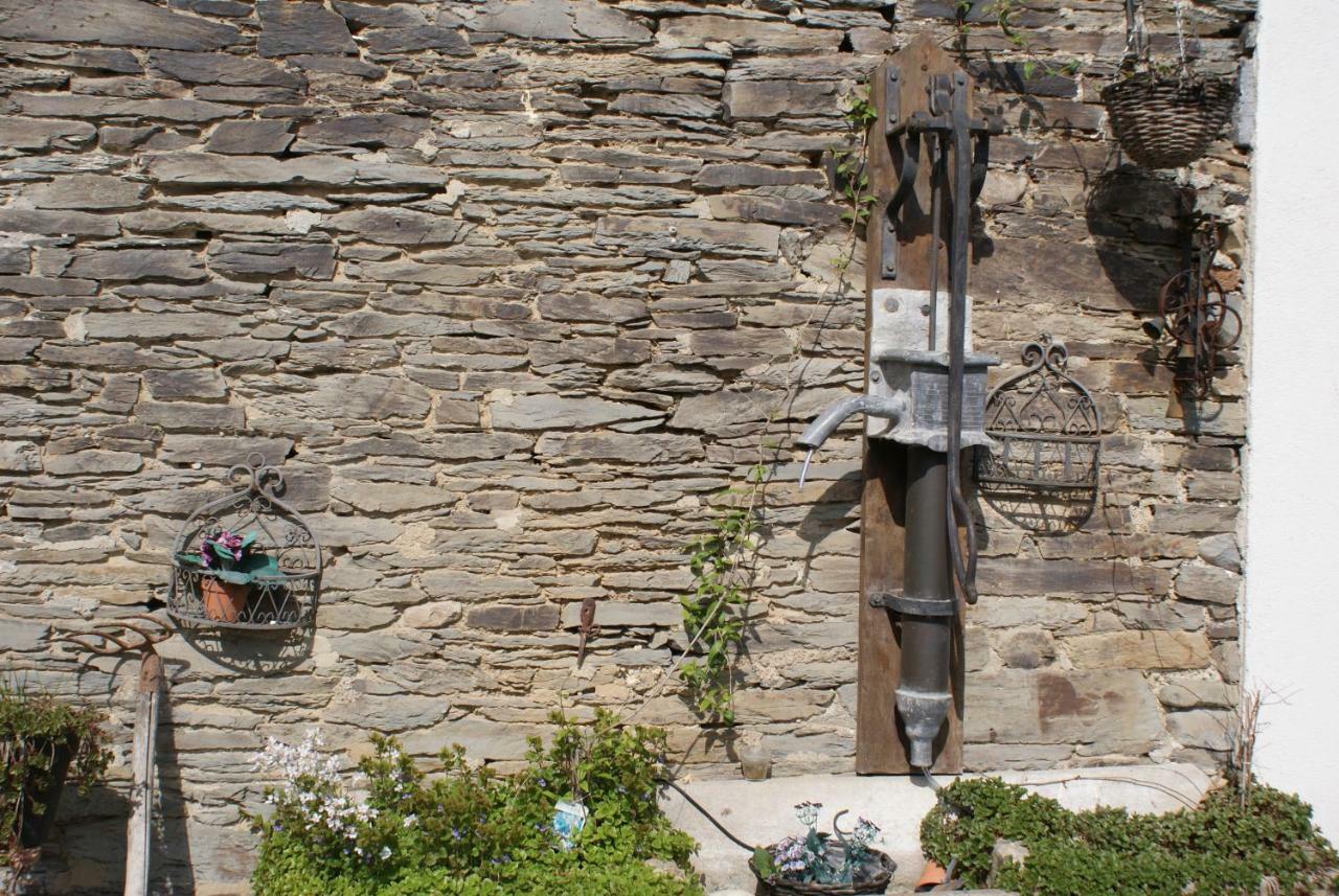 Le Gite De L Ourthe Ortheuville Exteriör bild